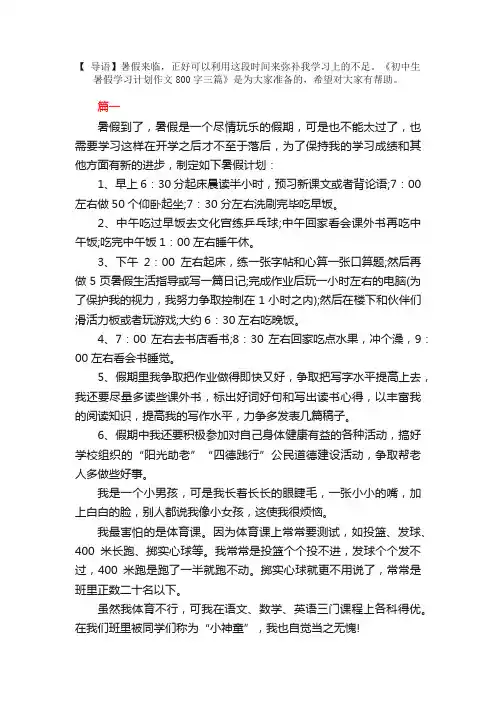 初中生暑假学习计划作文800字三篇