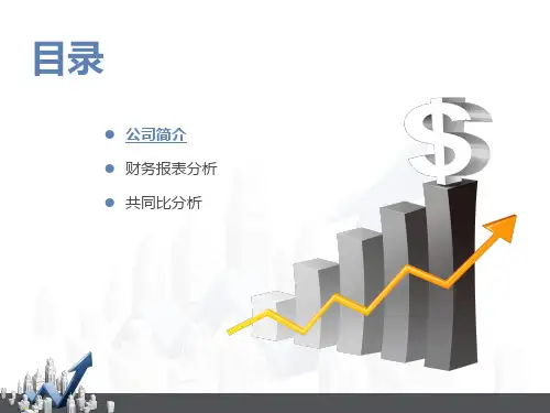 苏宁和广百财务报表分析