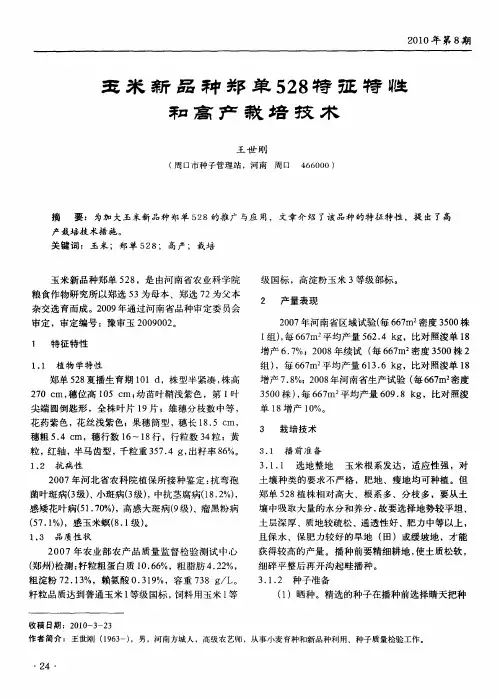玉米新品种郑单528特征特性和高产栽培技术