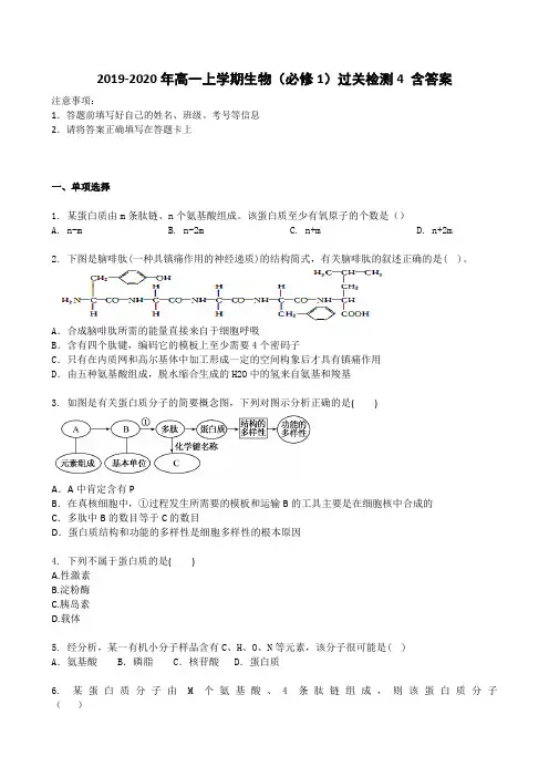2019-2020年高一上学期生物(必修1)过关检测4 含答案