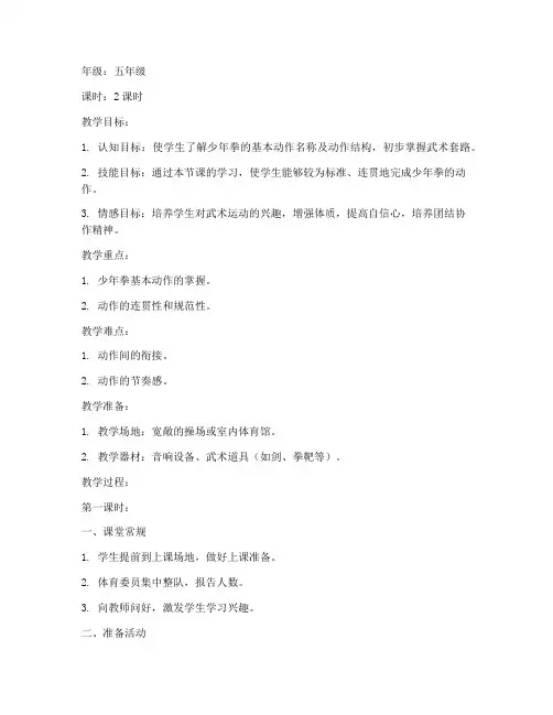 少年拳体育教案模板范文