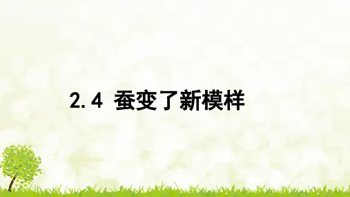 教科版 三年级下册科学  蚕变了新模样课件
