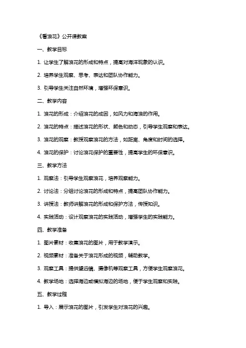 《看浪花》公开课教案
