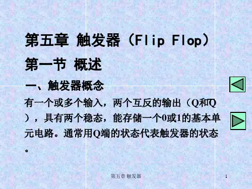 第五章_11_概述基本SRFF.讲义