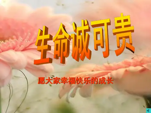 生命诚可贵班会ppt