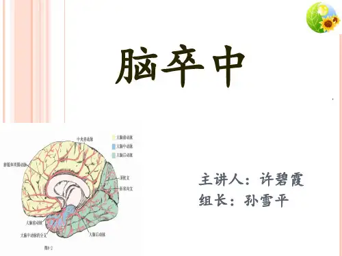 全面认识脑卒中PPT课件