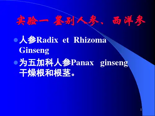 1.人参、西洋参的鉴定