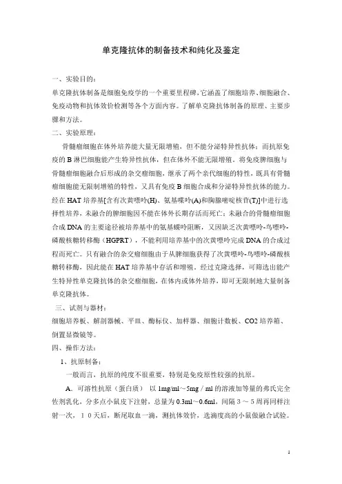单克隆抗体的制备技术和纯化及鉴定