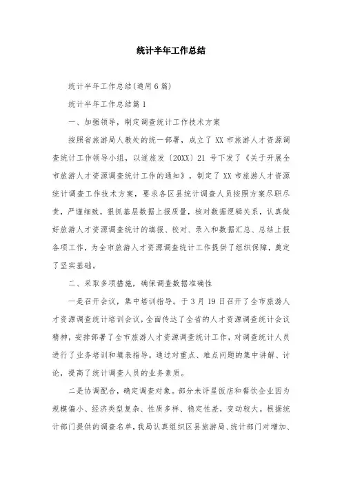 统计半年工作总结