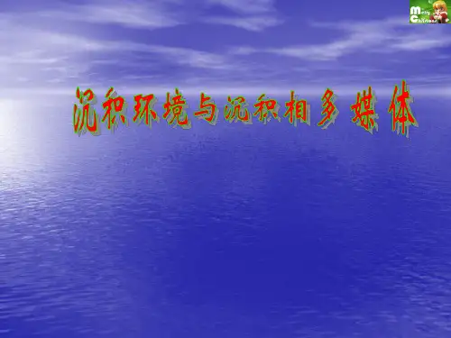 沉积相与沉积环境