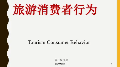 旅游消费者行为(第七章 决策)