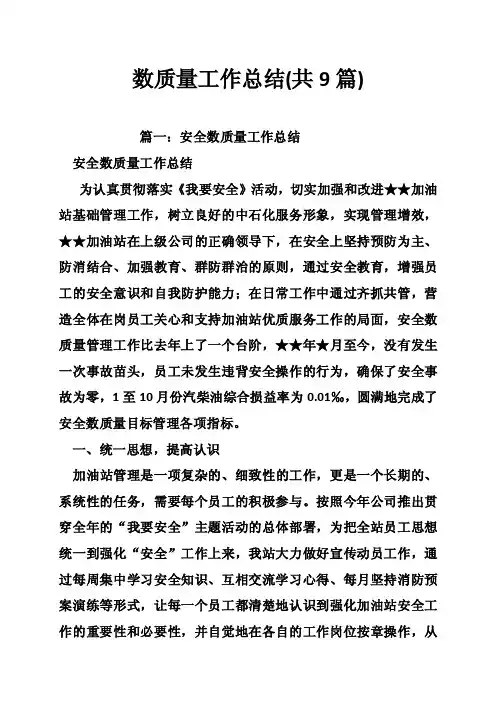 数质量工作总结（共9篇）