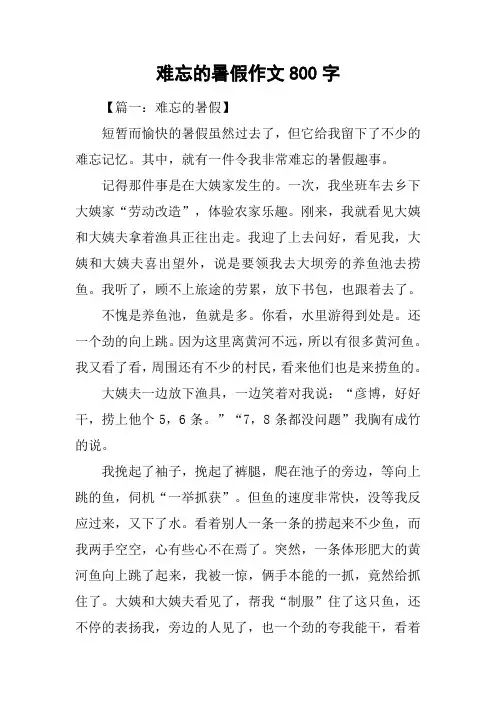 难忘的暑假作文800字