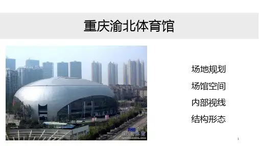 国内外体育馆案例PPT课件