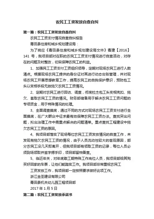 农民工工资发放自查自纠