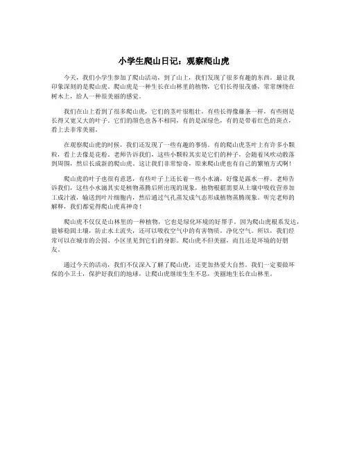 小学生爬山日记：观察爬山虎