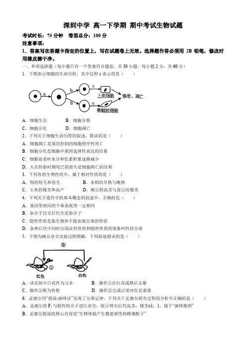 广东省深圳市罗湖区深圳中学 高一下学期 期中考试生物学试题(含答案)