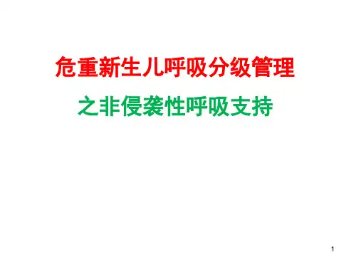 新生儿无创呼吸PPT课件