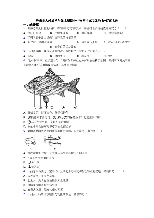 济南市人教版八年级上册期中生物期中试卷及答案-百度文库