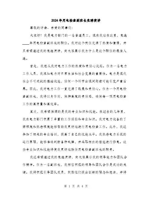 2024年用电检查副班长竞聘演讲(2篇)