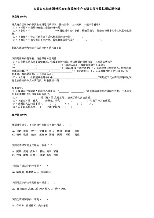 安徽省阜阳市颍州区2024部编版小升初语文统考模拟测试提分版