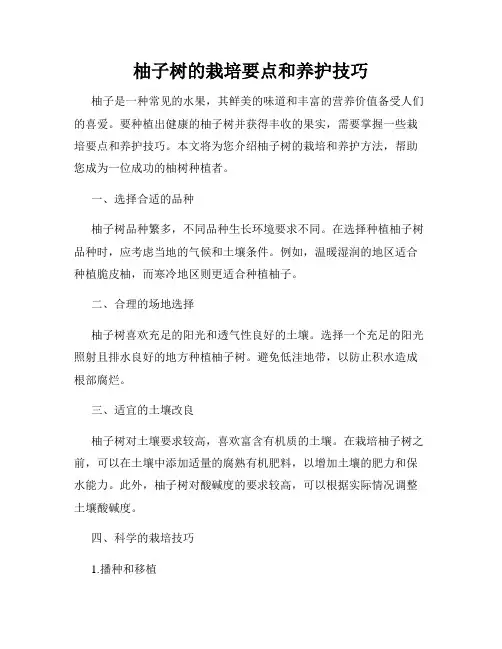 柚子树的栽培要点和养护技巧