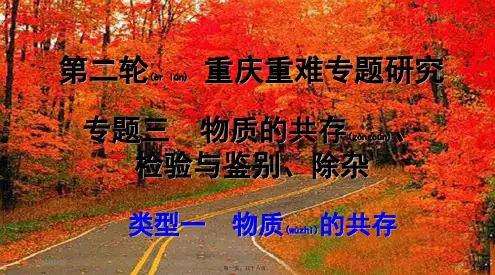 中考化学总复习第二轮重难专题研究专题三物质的共存、检验与鉴别、除杂类型一物质的共存