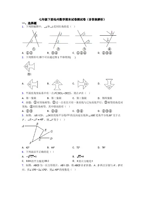 七年级下册沧州数学期末试卷测试卷(含答案解析)