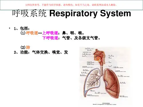 呼吸系统专题培训培训课件