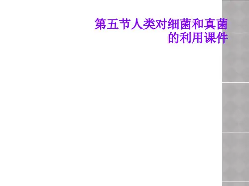第五节人类对细菌和真菌的利用课件
