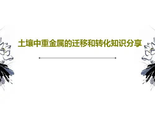 土壤中重金属的迁移和转化知识分享PPT文档91页