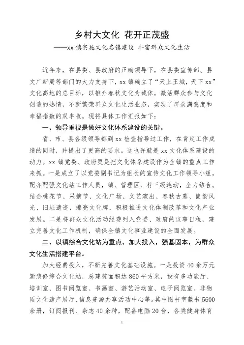 乡镇文化工作汇报材料