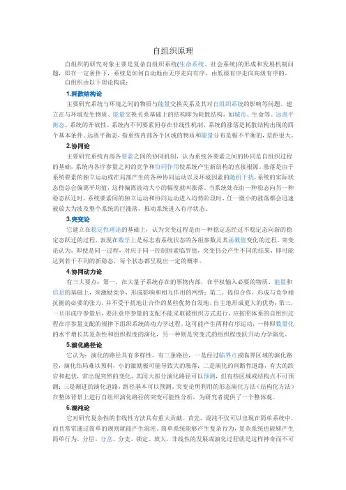 自组织原理
