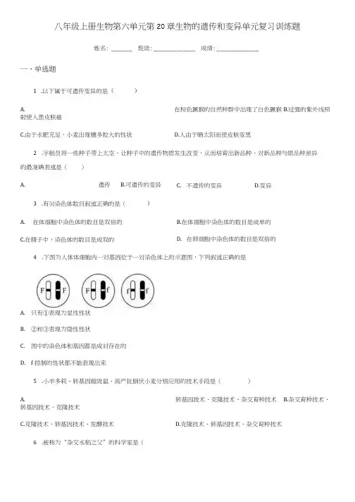 八年级上册生物 第六单元 第20章 生物的遗传和变异 单元复习训练题.docx