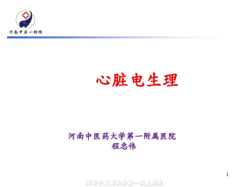 心脏电生理