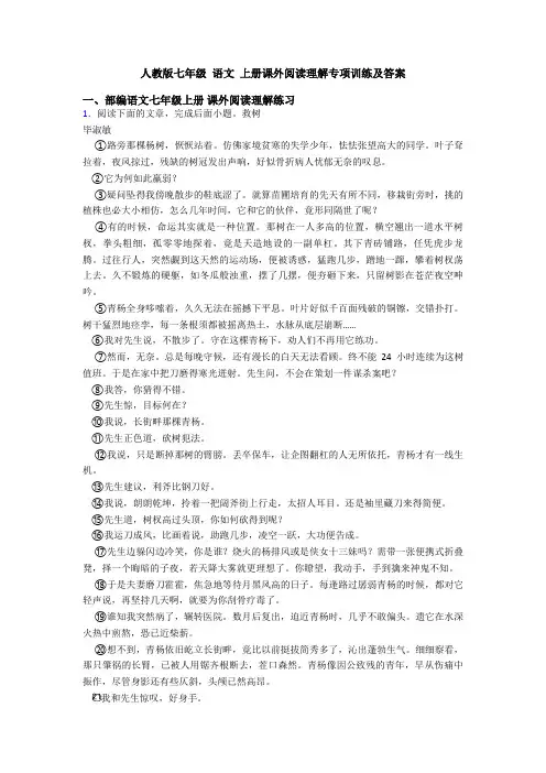 人教版七年级 语文 上册课外阅读理解专项训练及答案