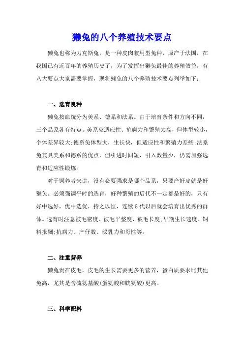 獭兔的八个养殖技术要点