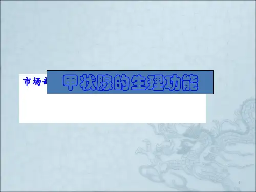 甲状腺的生理功能ppt课件