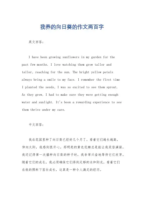 我养的向日葵的作文两百字