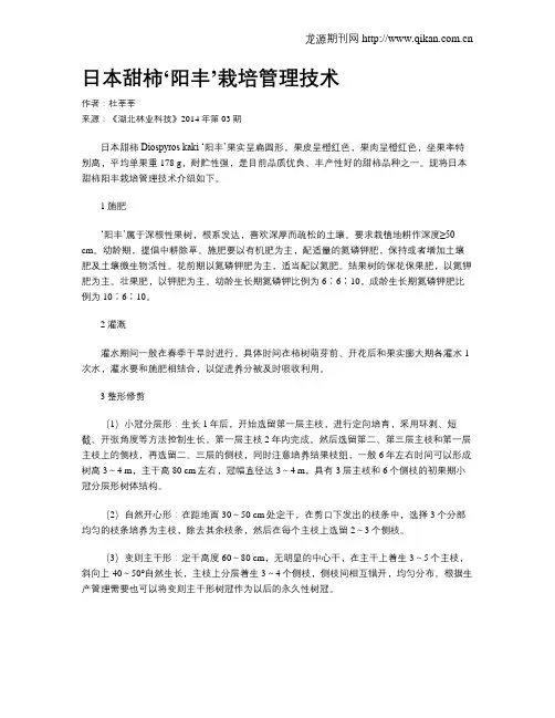 日本甜柿‘阳丰’栽培管理技术
