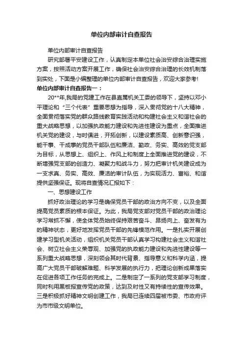 单位内部审计自查报告