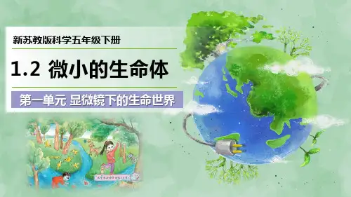 2024新苏教版科学五年级下册第一单元 显微镜下的生命世界《微小的生命体》优质课件