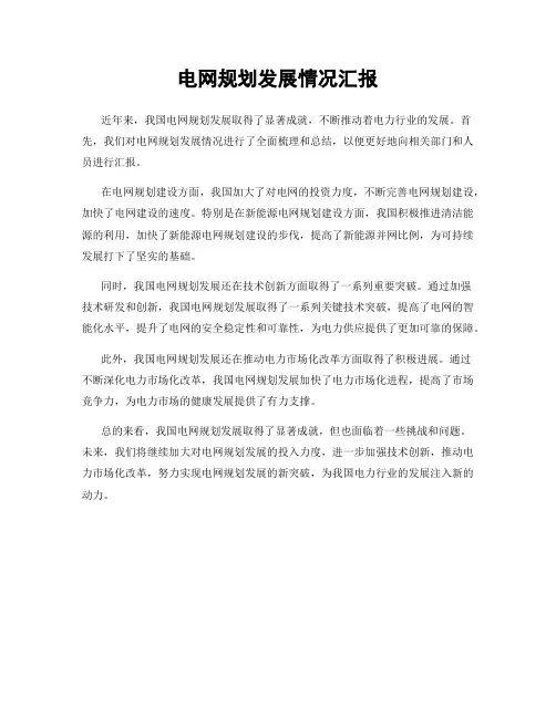 电网规划发展情况汇报