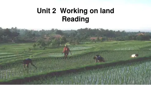高中英语人教版必修四Unit2_Working_the_land--Readingppt课件