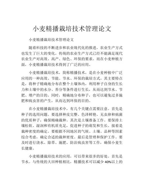 小麦精播栽培技术管理论文