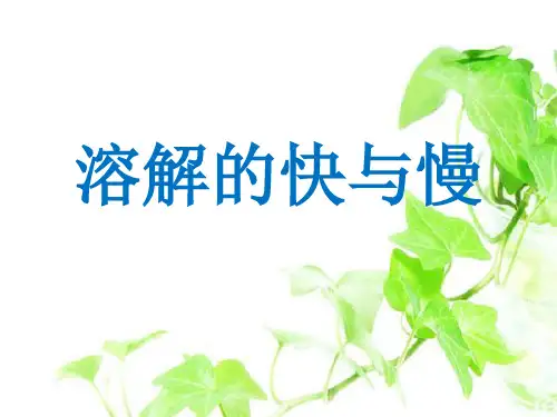 四年级上册科学课件 2.5 溶解的快与慢｜教科版 (共31张PPT)