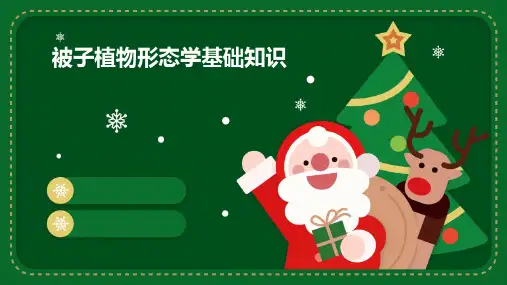被子植物形态学基础知识