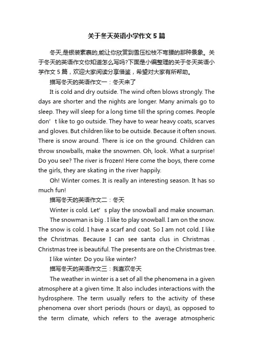 关于冬天英语小学作文5篇