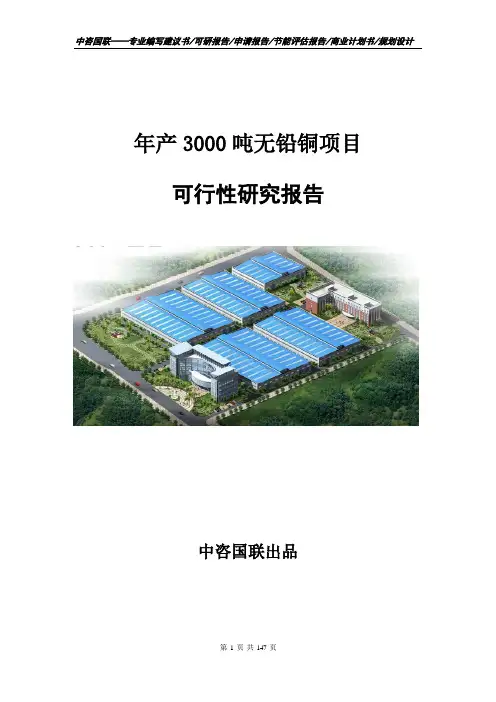 年产3000吨无铅铜项目可行性研究报告--商业计划书
