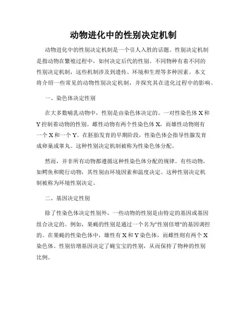 动物进化中的性别决定机制